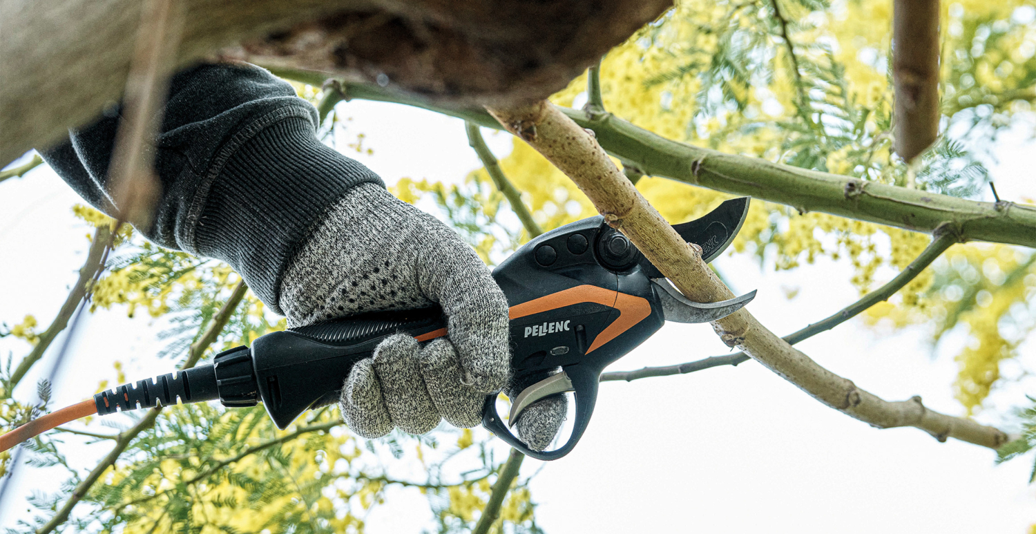 Latest Generation of Pruners - Pellenc USA