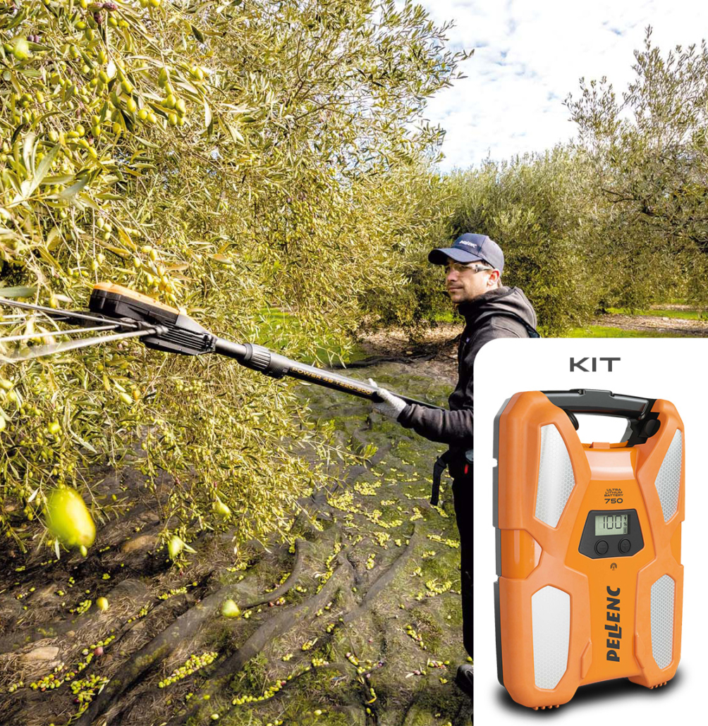 Power 48 - Olive Harvesting Rake KIT w/750 Battery - Pellenc USA